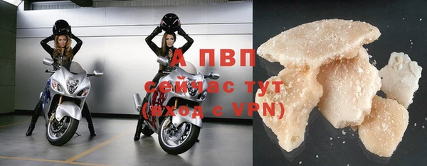 spice Аркадак