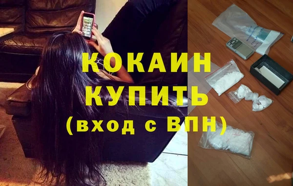 spice Аркадак